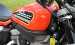 XR1200 SPOTRSTERS 054